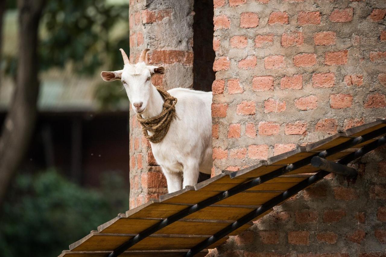 Hotel Gibb'S Farm Karatu Exterior foto